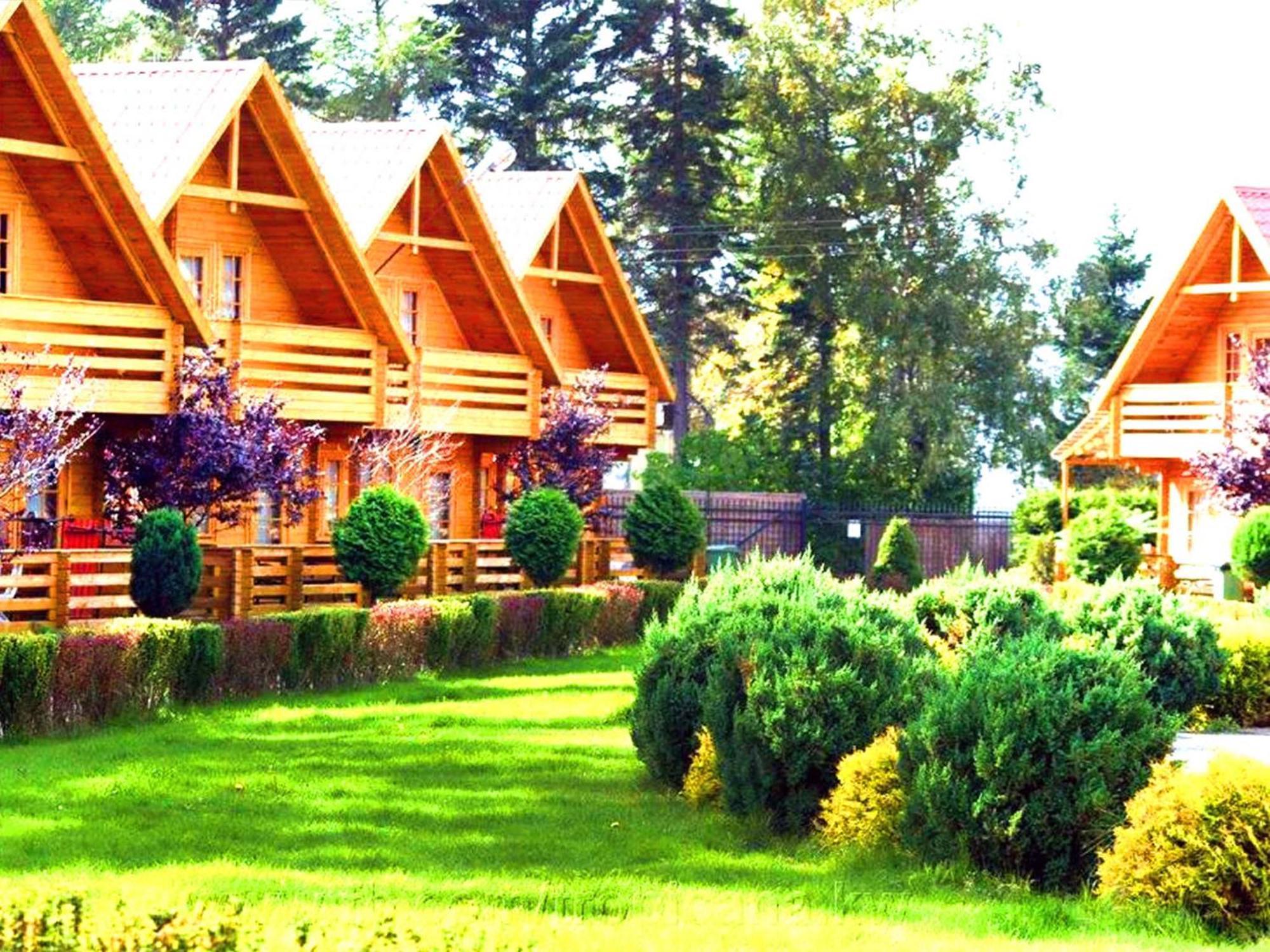 Domki Letniskowe Tropicana Jastrzębia Góra Zewnętrze zdjęcie